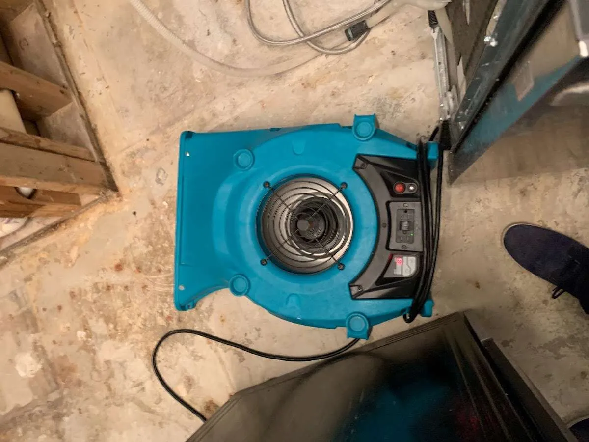 Air mover drying equipment for Mold Remediation & Removal in Fair Haven