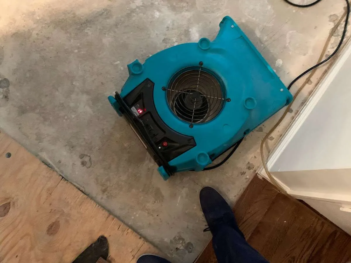 Air mover drying subfloor during Leak Detection & Repair in Fair Haven